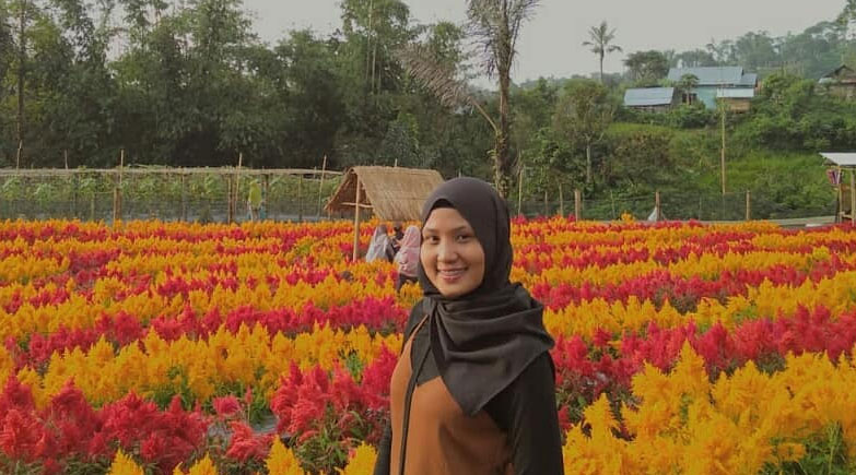 Taman Bunga Celosia Kemadang