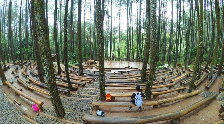 Hutan Pinus Mangunan - Lokasi &amp; Harga Tiket Masuk 2022